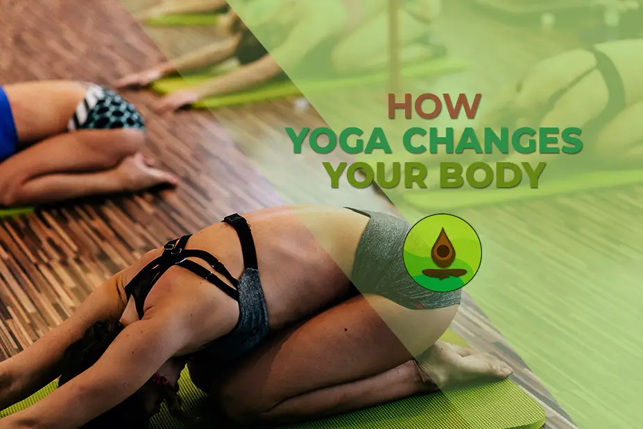 how yoga changes body